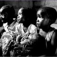 Immagini di Tre - Album 3