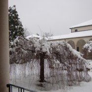 Venegono Inferiore - neve 02.02.2009