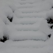 Venegono Inferiore - neve 02.02.2009