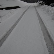 Venegono Inferiore - neve 02.02.2009